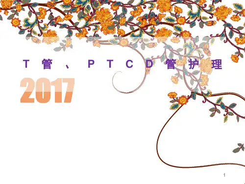 T管、PTCD管护理PPT课件