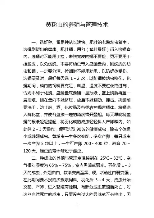 黄粉虫的养殖与管理技术