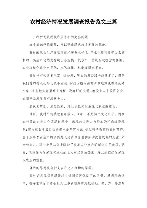 农村经济情况发展调查报告范文三篇