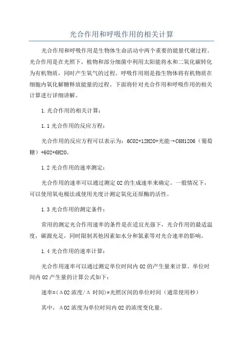 光合作用和呼吸作用的相关计算