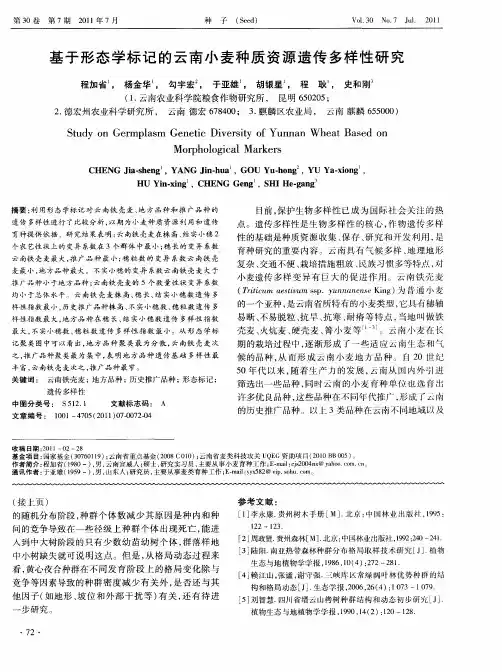 基于形态学标记的云南小麦种质资源遗传多样性研究