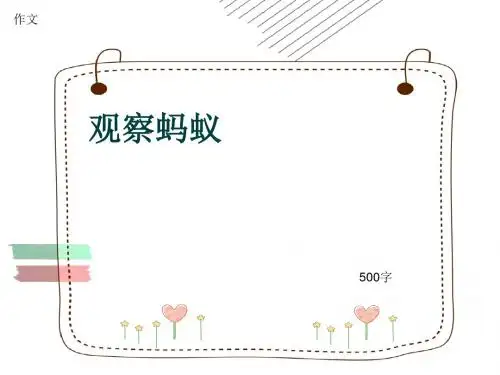 小学四年级作文《观察蚂蚁》500字(共8页PPT)