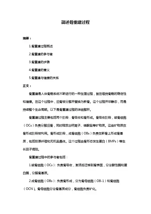 简述骨重建过程