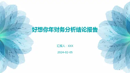 好想你年财务分析结论报告