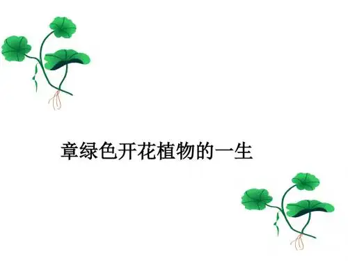 花的结构和类型PPT课件3