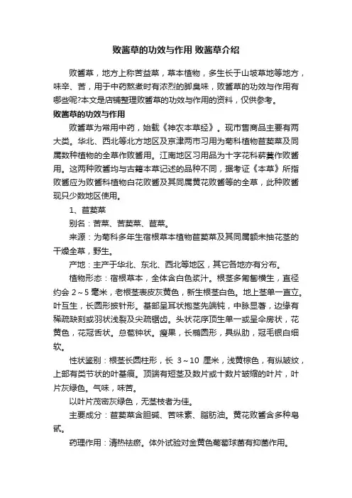败酱草的功效与作用败酱草介绍