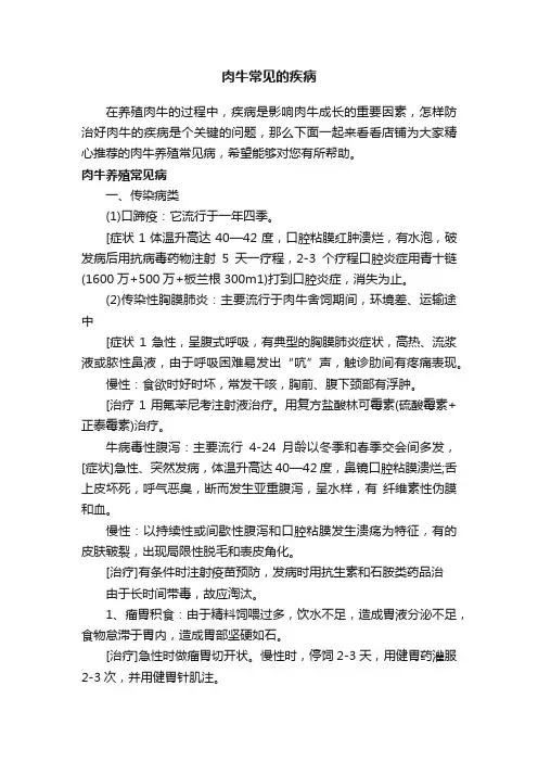 肉牛常见的疾病