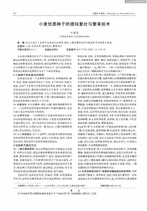 小麦优质种子的提纯复壮与繁育技术