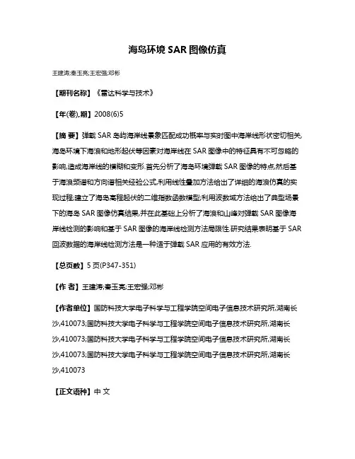 海岛环境SAR图像仿真