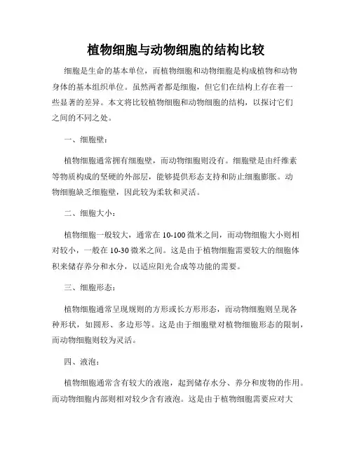 植物细胞与动物细胞的结构比较