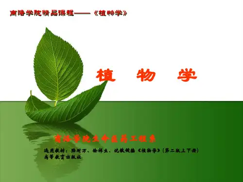 植物学-精品课程
