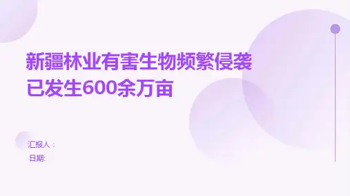新疆林业有害生物频繁侵袭已发生600余万亩