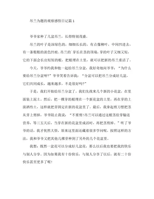 吊兰为题的观察感悟日记7篇