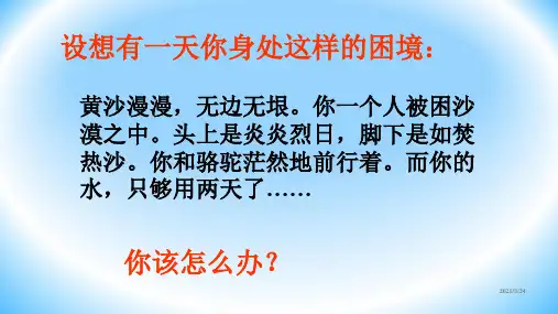 《鲁滨孙漂流记》ppt课件完整