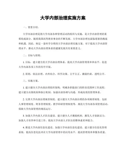 大学内部治理实施方案