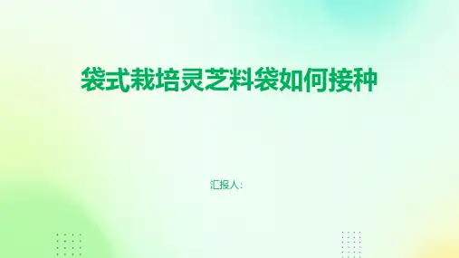 袋式栽培灵芝料袋如何接种