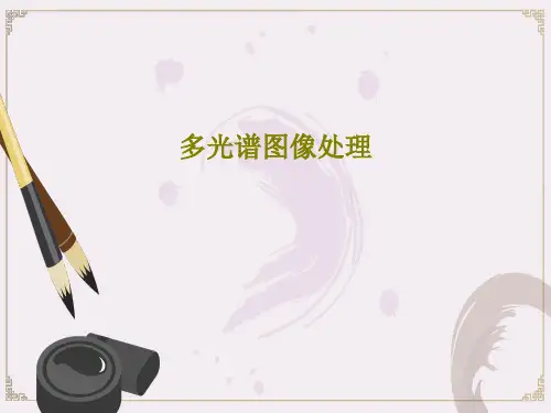多光谱图像处理共32页文档
