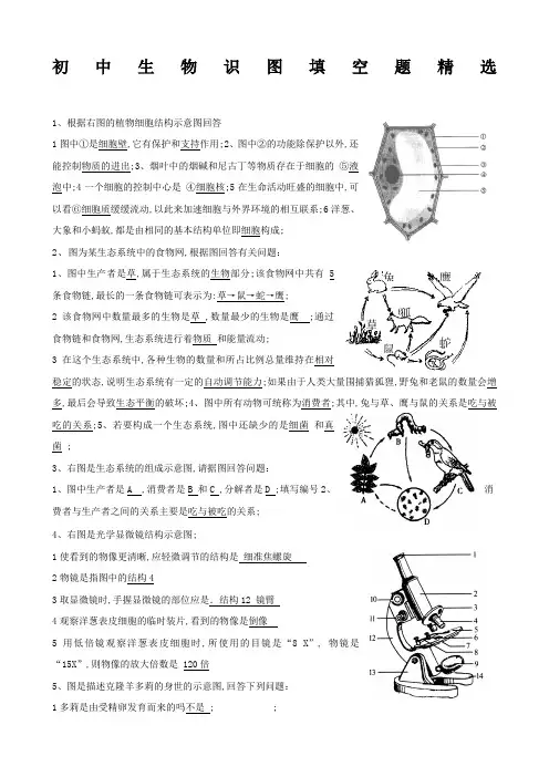 初中生物识图题