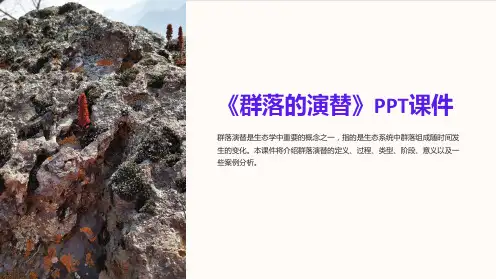 《群落的演替》课件