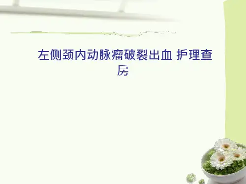 左侧颈内动脉瘤破裂出血 护理查房.ppt