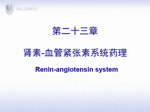 临床药理学PPT肾素-血管紧张素系统药理课件