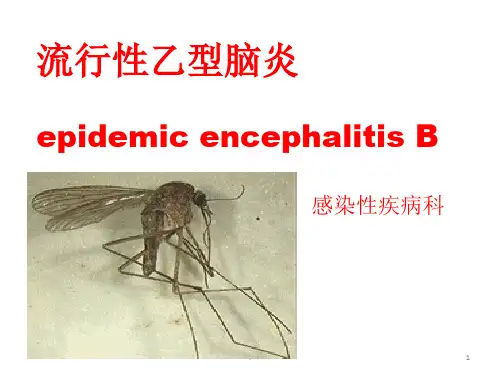 流行性乙型脑炎