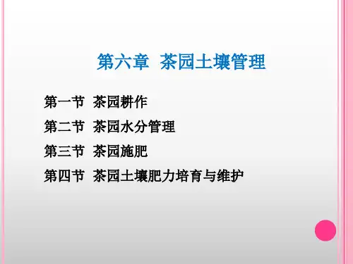 6 茶园土壤管理