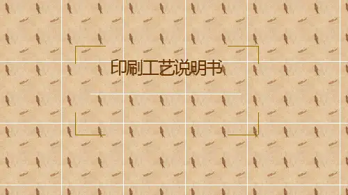印刷工艺ppt课件