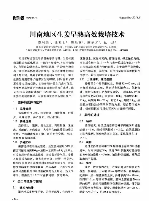 川南地区生姜早熟高效栽培技术