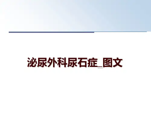 最新泌尿外科尿石症_图文幻灯片课件