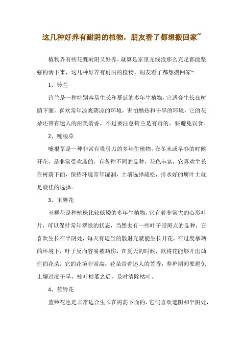 这几种好养有耐阴的植物,朋友看了都想搬回家~