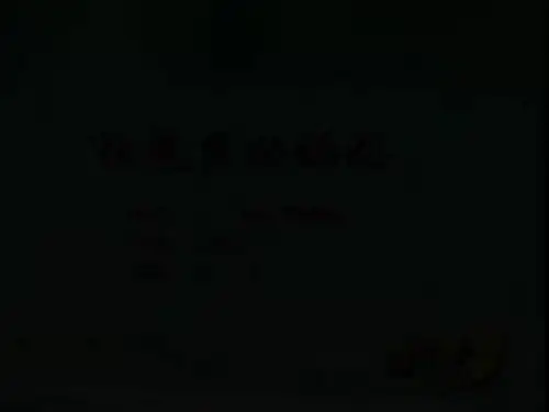 第一次抱母亲.最新ppt