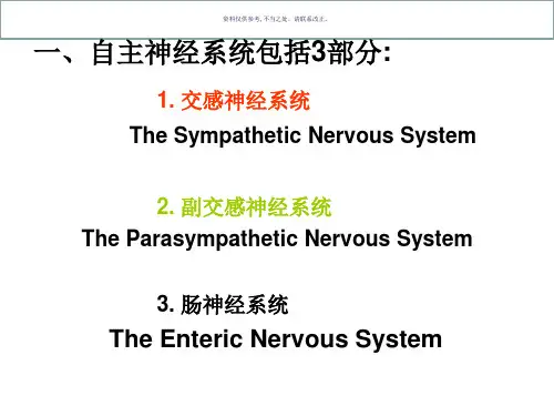 自主神经系统的结构和机能
