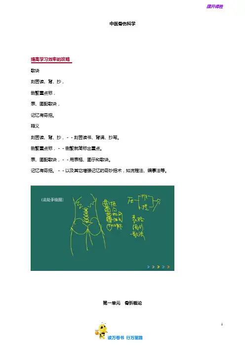 中医(专长)-中医骨伤科学(2019) 精品讲义