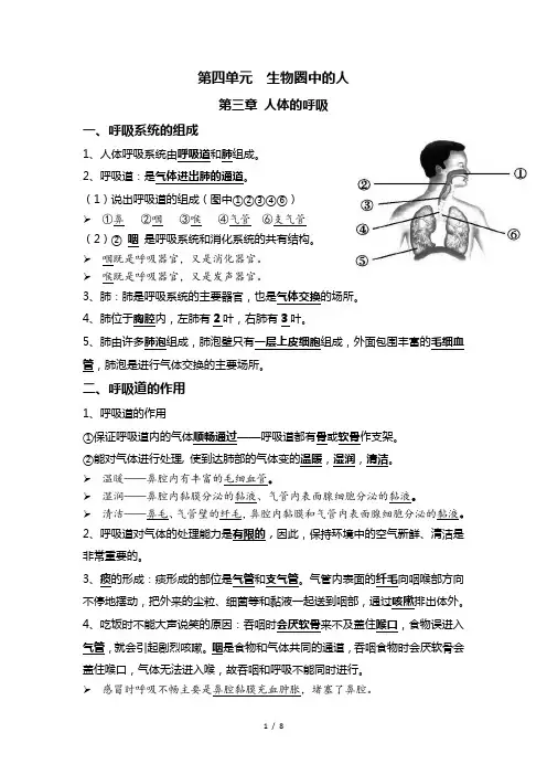 中考生物一轮复习核心考点必背知识清单07 人体的呼吸+人体内物质的运输