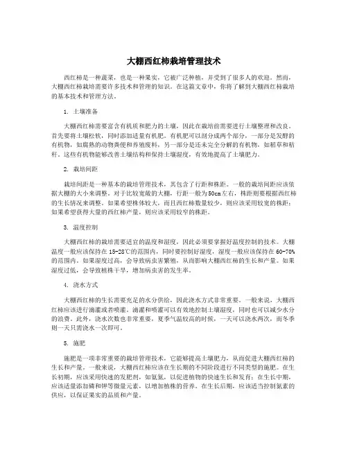 大棚西红柿栽培管理技术
