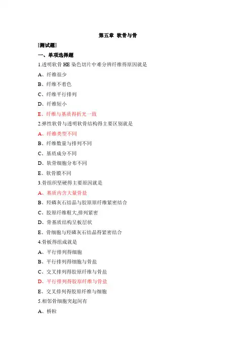 第5章软骨和骨