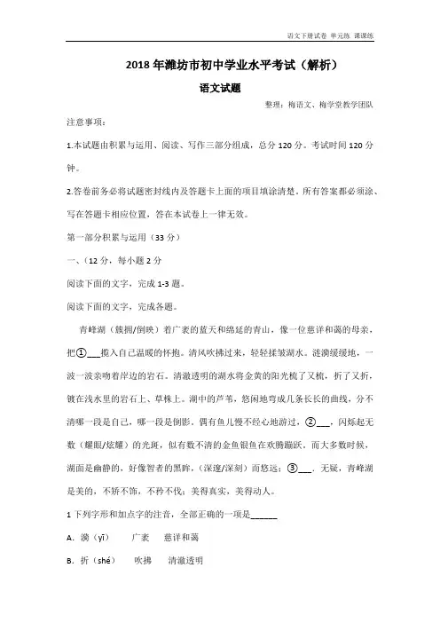 2018年潍坊市中考官方解析版.docx