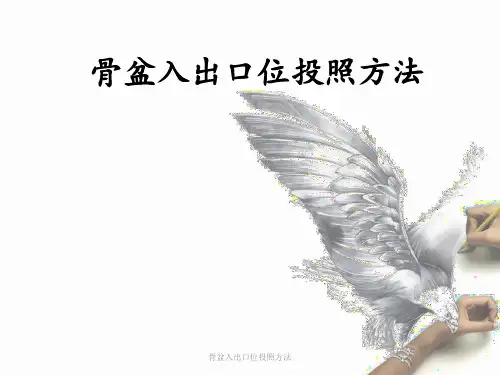 骨盆入出口位投照方法【可编辑】