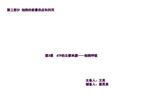 一轮复习细胞呼吸ppt课件