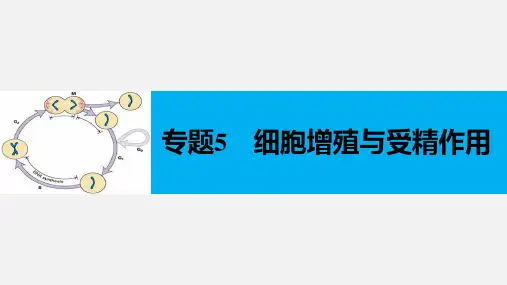高考生物 二轮复习 专题5 细胞增殖与受精作用
