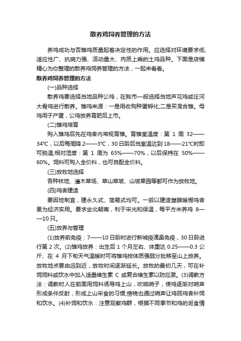 散养鸡饲养管理的方法