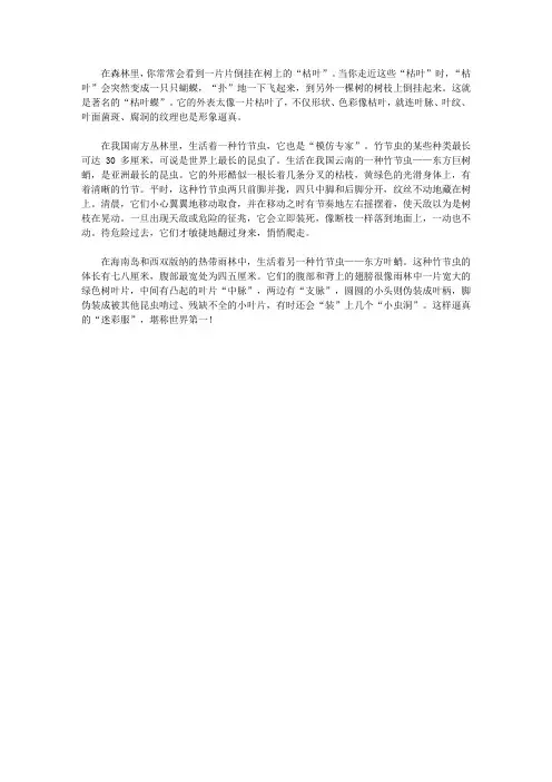 (青少年心灵成长直通车)启迪孩子智慧的动物故事_巧妙的伪装
