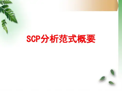 SCP分析范式概要