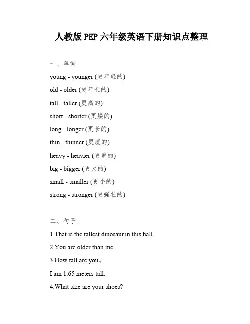 人教版PEP六年级英语下册知识点整理