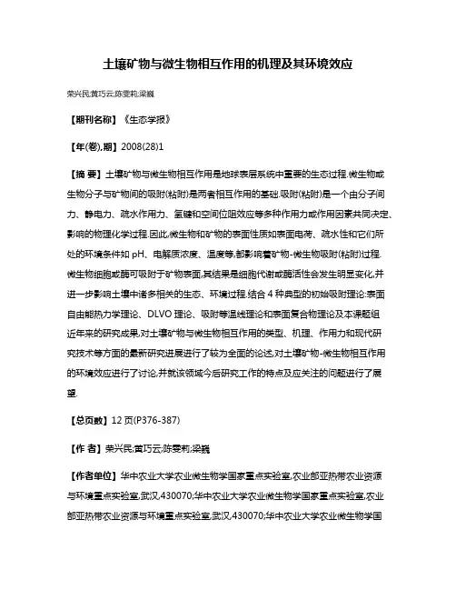 土壤矿物与微生物相互作用的机理及其环境效应