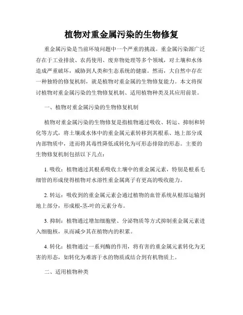 植物对重金属污染的生物修复