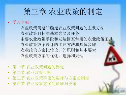 农业政策学课件 第三章 农业政策的制定