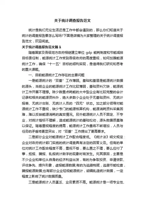 关于统计调查报告范文