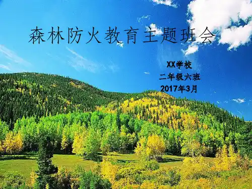 中学森林防火主题班会完整ppt课件